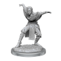 PATHFINDER: DEEP CUTS UNPAINTED MINIATURES: W21 FEMALE HALF-ELF MONKS | Gopher Games
