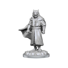 CRITICAL ROLE: UNPAINTED MINIATURES: HUMAN GRAVITURGY AND CHRONURGY WIZARDS | Gopher Games
