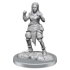 PATHFINDER: DEEP CUTS UNPAINTED MINIATURES: W21 FEMALE HALF-ELF MONKS | Gopher Games