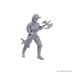 DUNGEONS AND DRAGONS NOLZUR'S MARVELOUS MINIATURES: SPECIAL EDITION BALDUR'S GATE 3: WYLL AND KARLACH | Gopher Games