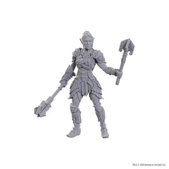 DUNGEONS AND DRAGONS NOLZUR'S MARVELOUS MINIATURES: SPECIAL EDITION BALDUR'S GATE 3: DAME AYLIN AND MINTHARA | Gopher Games