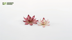 Laser Plant Lotus Flower | Gopher Games