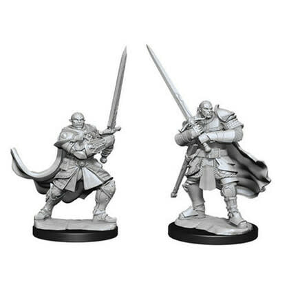 DUNGEONS AND DRAGONS NOLZUR'S MARVELOUS MINIATURES: W15 MALE HALF-ORC PALADIN | Gopher Games