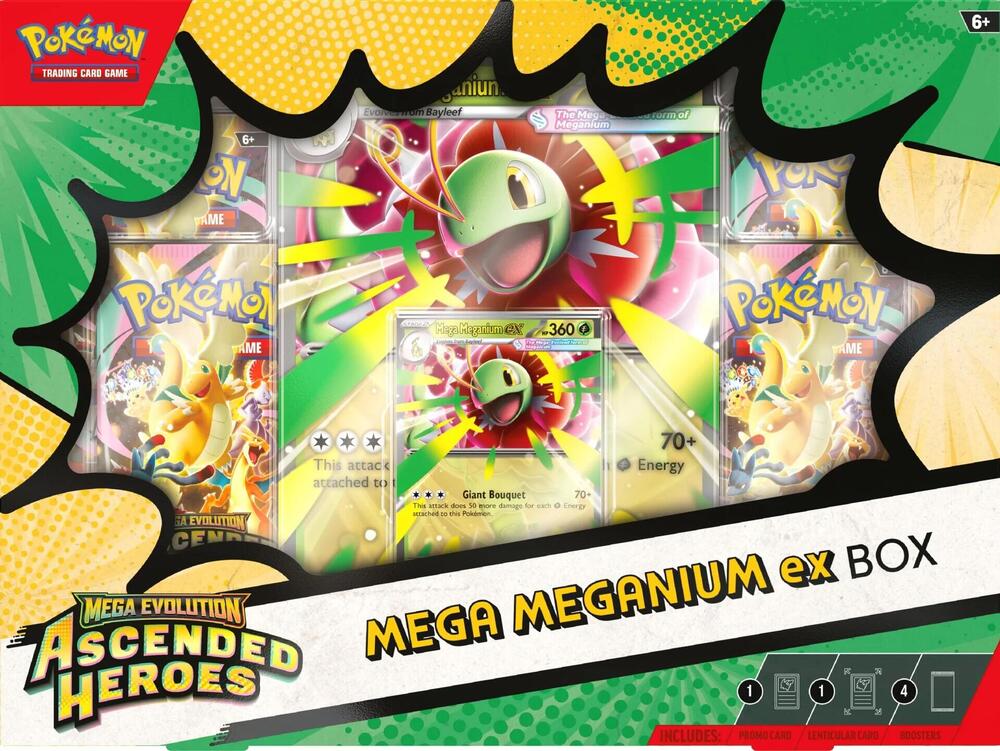 Ascended Heroes Mega Meganium ex Box | Gopher Games