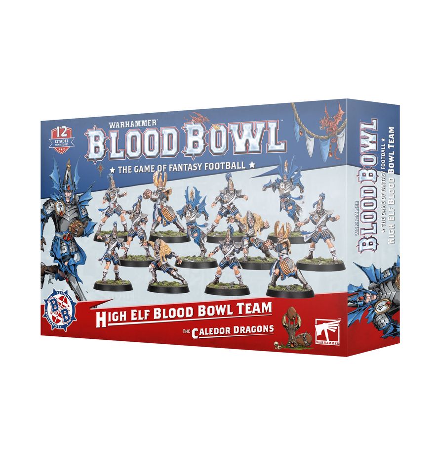 High Elf Blood Bowl Team: The Caledor Dragons | Gopher Games