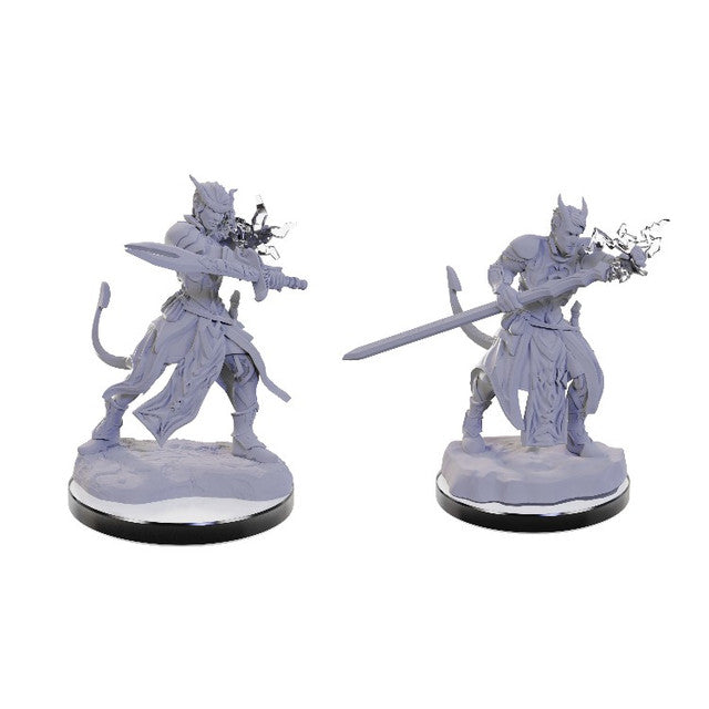 DUNGEONS AND DRAGONS NOLZUR'S MARVELOUS MINIATURES: TIEFLING WARLOCKS | Gopher Games