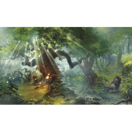 LEGION PLAYMAT: LANDS - FOREST | Gopher Games