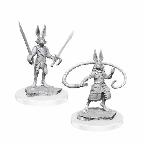 Dungeons & Dragons Nolzur`s Marvelous Unpainted Miniatures: W17 Harengon Rogues | Gopher Games