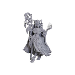 CRITICAL ROLE UNPAINTED MINIATURES: W23 FEARNE CALLOWAY AND MISTER | Gopher Games