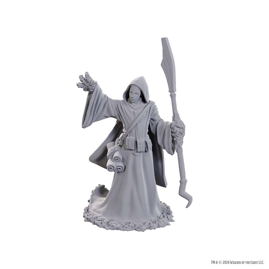DUNGEONS AND DRAGONS NOLZUR'S MARVELOUS MINIATURES: W25 STAR SPAWN LARVA MAGE | Gopher Games
