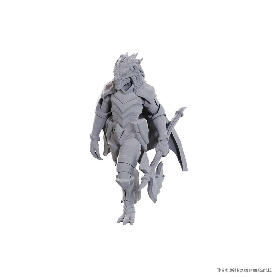 DUNGEONS AND DRAGONS NOLZUR'S MARVELOUS MINIATURES: DRAGONBORN OF TIAMAT | Gopher Games