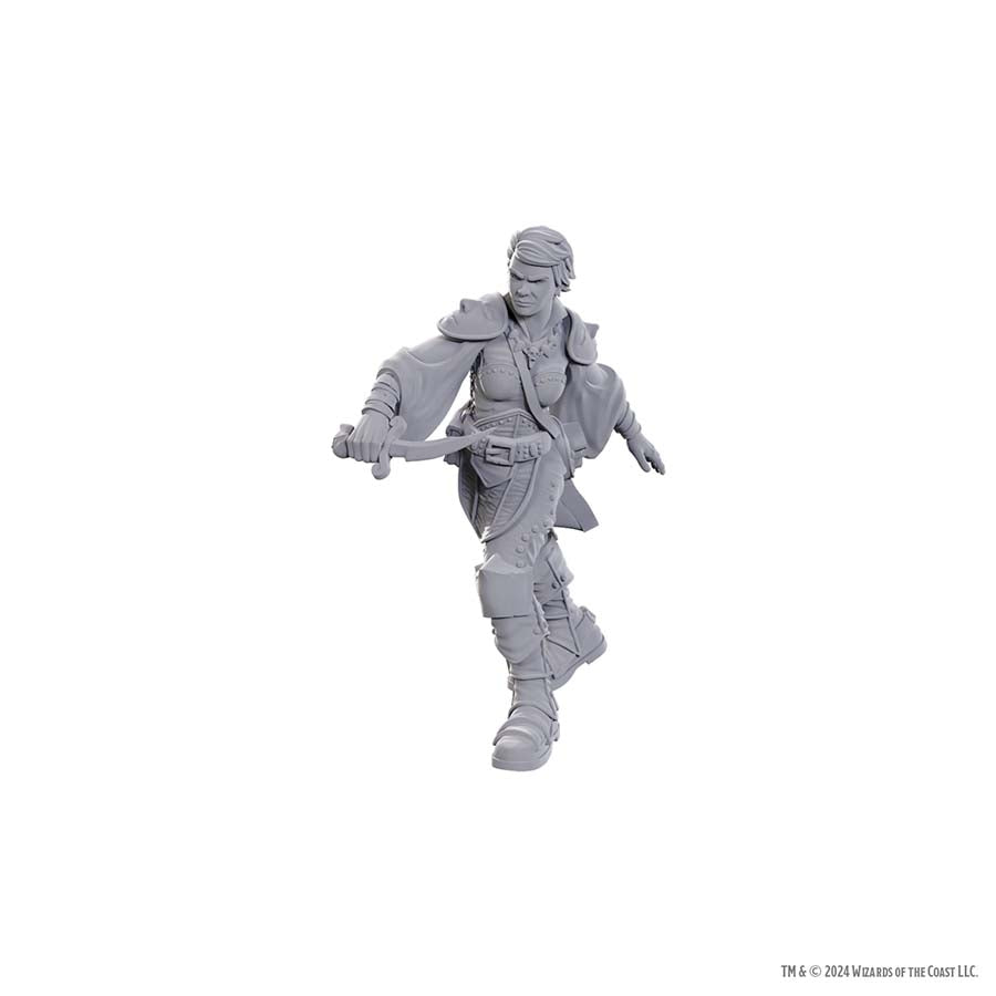DUNGEONS AND DRAGONS NOLZUR'S MARVELOUS MINIATURES: SWASHBUCKLER | Gopher Games