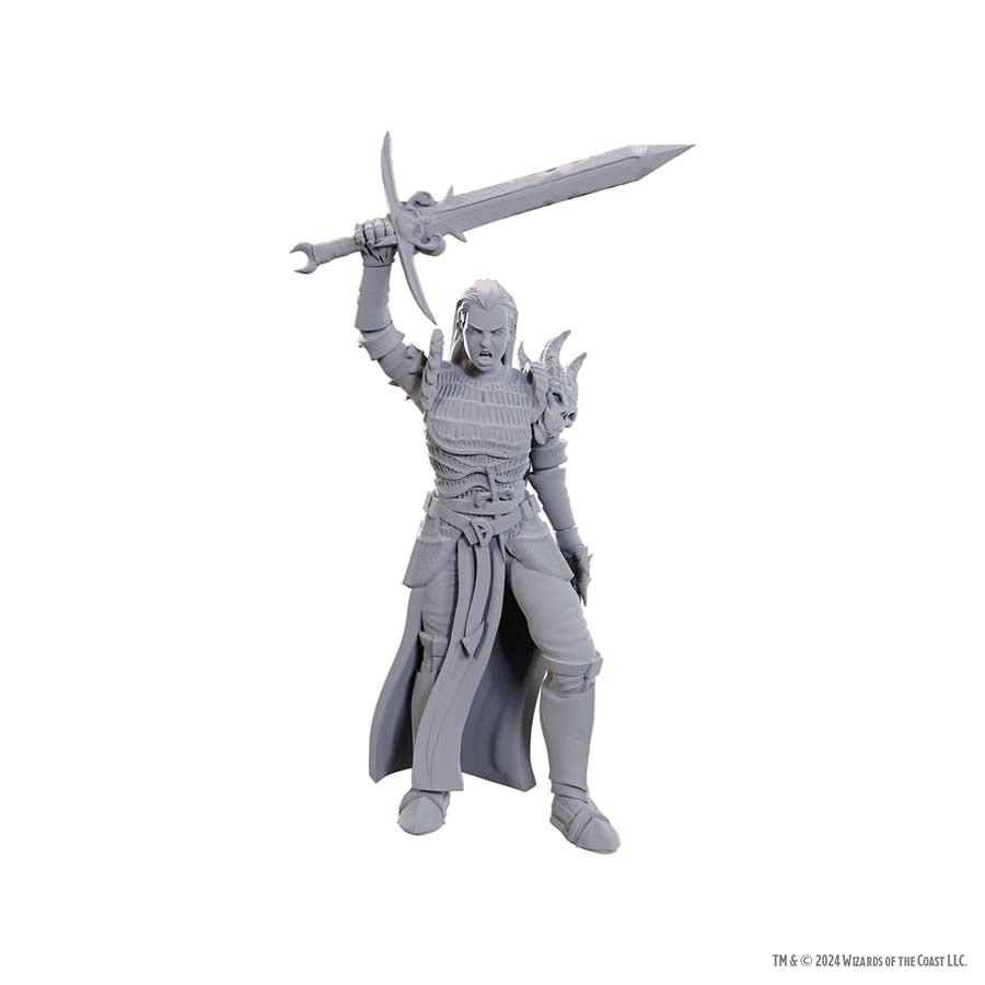 DUNGEONS AND DRAGONS NOLZUR'S MARVELOUS MINIATURES: BLACKGUARD | Gopher Games