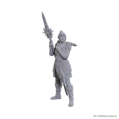 DUNGEONS AND DRAGONS NOLZUR'S MARVELOUS MINIATURES: SPECIAL EDITION BALDUR'S GATE 3: LAE'ZEL AND SHADOWHEART | Gopher Games