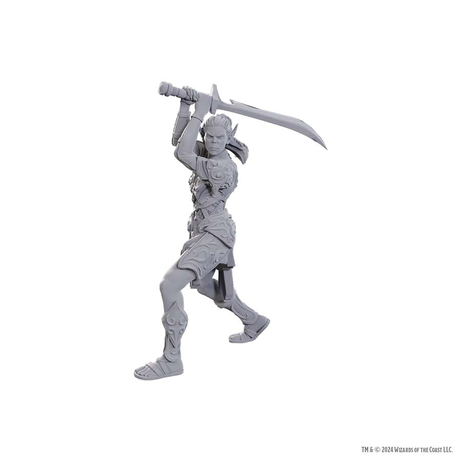 DUNGEONS AND DRAGONS NOLZUR'S MARVELOUS MINIATURES: SPECIAL EDITION BALDUR'S GATE 3: LAE'ZEL AND SHADOWHEART | Gopher Games