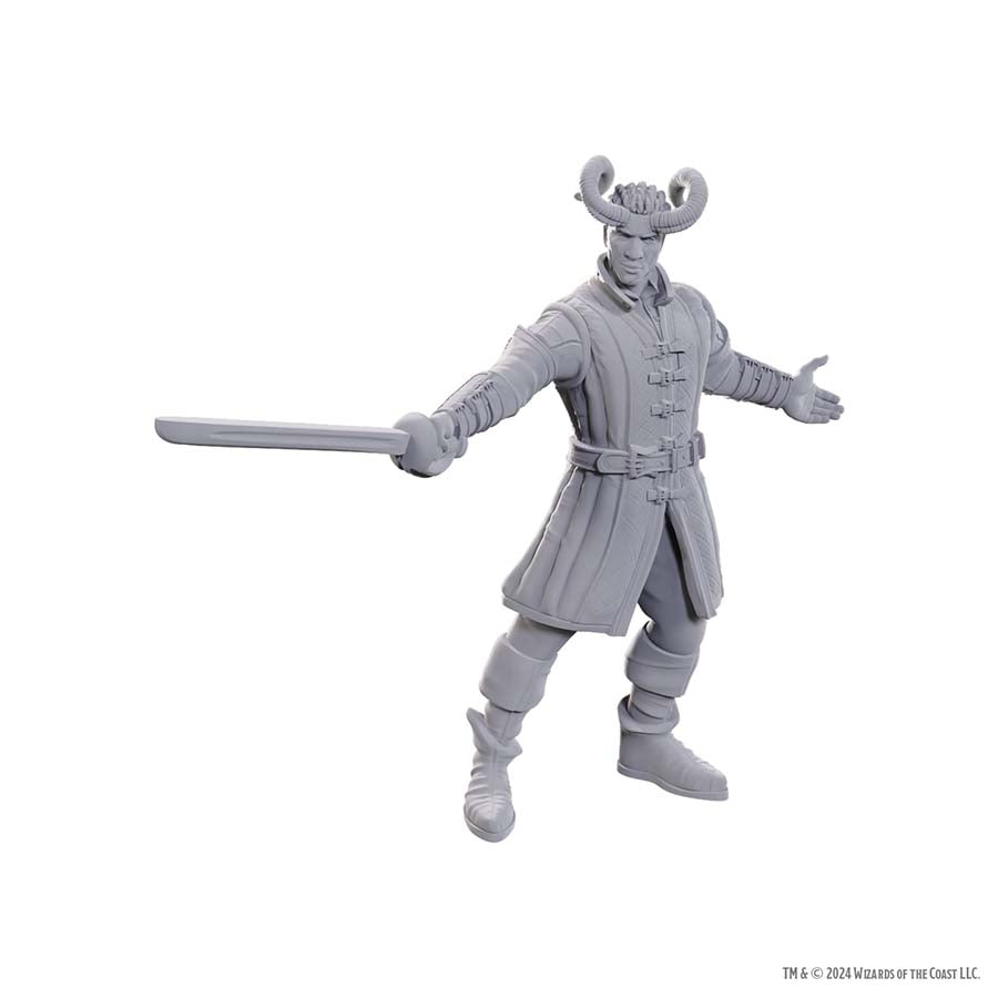 DUNGEONS AND DRAGONS NOLZUR'S MARVELOUS MINIATURES: SPECIAL EDITION BALDUR'S GATE 3: WYLL AND KARLACH | Gopher Games
