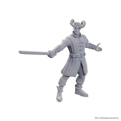 DUNGEONS AND DRAGONS NOLZUR'S MARVELOUS MINIATURES: SPECIAL EDITION BALDUR'S GATE 3: WYLL AND KARLACH | Gopher Games