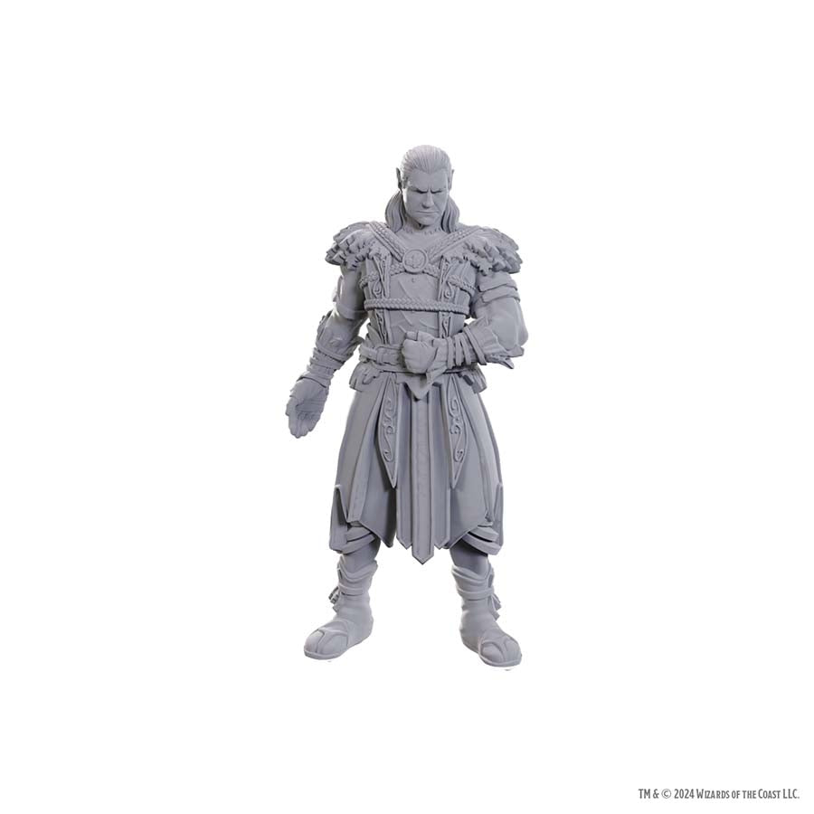 DUNGEONS AND DRAGONS NOLZUR'S MARVELOUS MINIATURES: SPECIAL EDITION BALDUR'S GATE 3: JAHEIRA AND HALSIN | Gopher Games