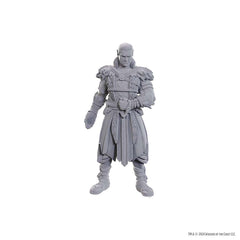 DUNGEONS AND DRAGONS NOLZUR'S MARVELOUS MINIATURES: SPECIAL EDITION BALDUR'S GATE 3: JAHEIRA AND HALSIN | Gopher Games
