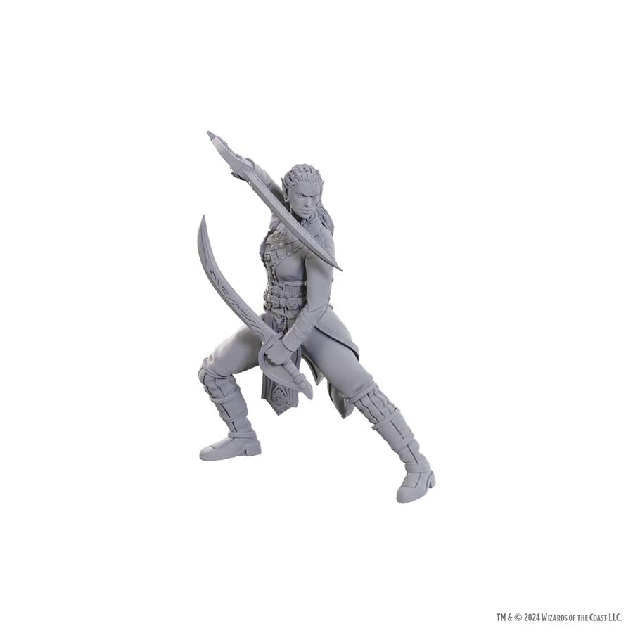 DUNGEONS AND DRAGONS NOLZUR'S MARVELOUS MINIATURES: SPECIAL EDITION BALDUR'S GATE 3: JAHEIRA AND HALSIN | Gopher Games
