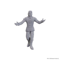 DUNGEONS AND DRAGONS NOLZUR'S MARVELOUS MINIATURES: SPECIAL EDITION BALDUR'S GATE 3: SAREVOK ANCHEV AND RAPHAEL | Gopher Games