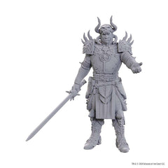 DUNGEONS AND DRAGONS NOLZUR'S MARVELOUS MINIATURES: SPECIAL EDITION BALDUR'S GATE 3: SAREVOK ANCHEV AND RAPHAEL | Gopher Games