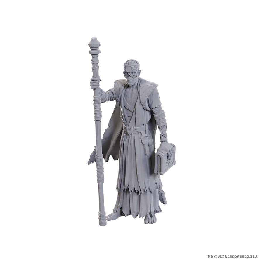 DUNGEONS AND DRAGONS NOLZUR'S MARVELOUS MINIATURES: SPECIAL EDITION BALDUR'S GATE 3: VOLO AND WITHERS | Gopher Games