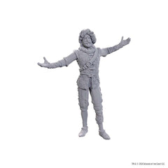 DUNGEONS AND DRAGONS NOLZUR'S MARVELOUS MINIATURES: SPECIAL EDITION BALDUR'S GATE 3: VOLO AND WITHERS | Gopher Games