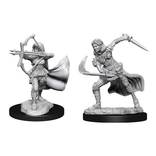 DUNGEONS AND DRAGONS NOLZUR'S MARVELOUS MINIATURES: W15 FEMALE AIR GENASI | Gopher Games