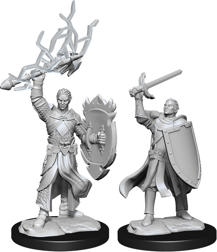 D&D Nolzur's Marvelous Miniatures: Half-Elf Paladin Male | Gopher Games