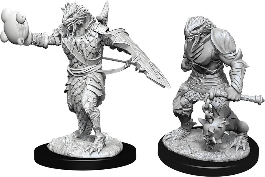 D&D Nolzur's Marvelous Miniatures: Male Dragonborn Paladin | Gopher Games