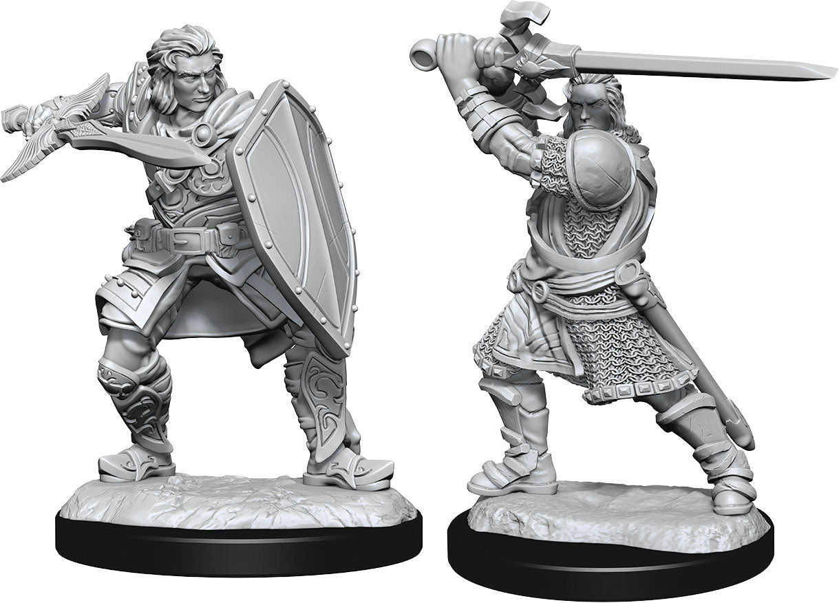 D&D Nolzur's Marvelous Miniatures: Human Paladin Male | Gopher Games