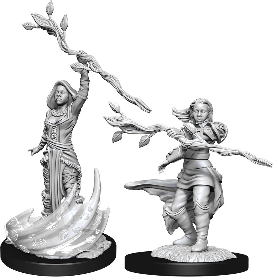 D&D Nolzur's Marvelous Miniatures: Human Druid Female | Gopher Games