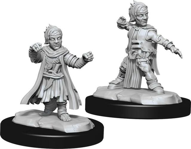 Pathfinder Deep Cuts Miniatures: Halfing Monk Male | Gopher Games