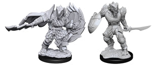 Nolzur`s Marvelous Miniatures: Dragonborn Fighter Male | Gopher Games