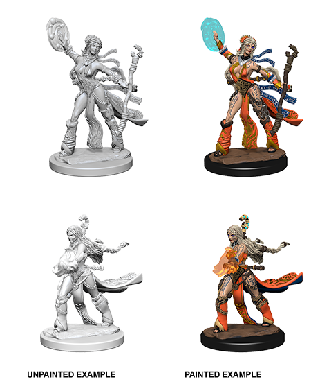 Pathfinder Deep Cuts Unpainted Miniatures: Human Female Sorcerer | Gopher Games