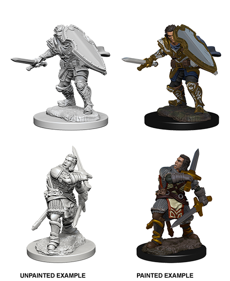 D&D Nolzur's Marvelous Miniatures: Human Paladin | Gopher Games