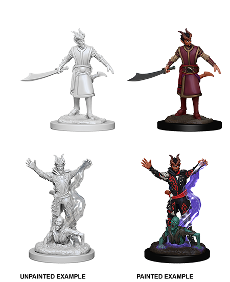 D&D Nolzur's Marvelous Miniatures: Tiefling Warlock | Gopher Games