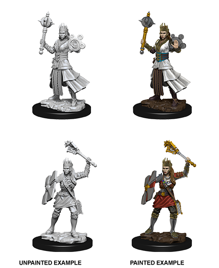 D&D Nolzur's Marvelous Miniatures: Human Cleric | Gopher Games