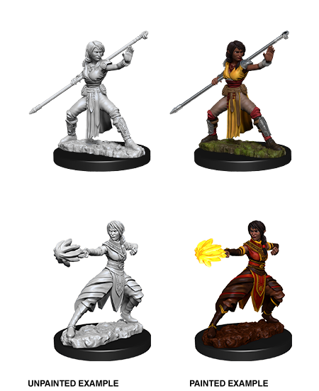 D&D Nolzur's Marvelous Miniatures: Half-Elf Monk | Gopher Games