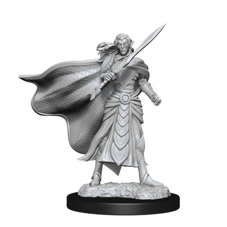 MAGIC THE GATHERING UNPAINTED MINIATURES: W02 ELF FIGHTER AND ELF CLERIC | Gopher Games