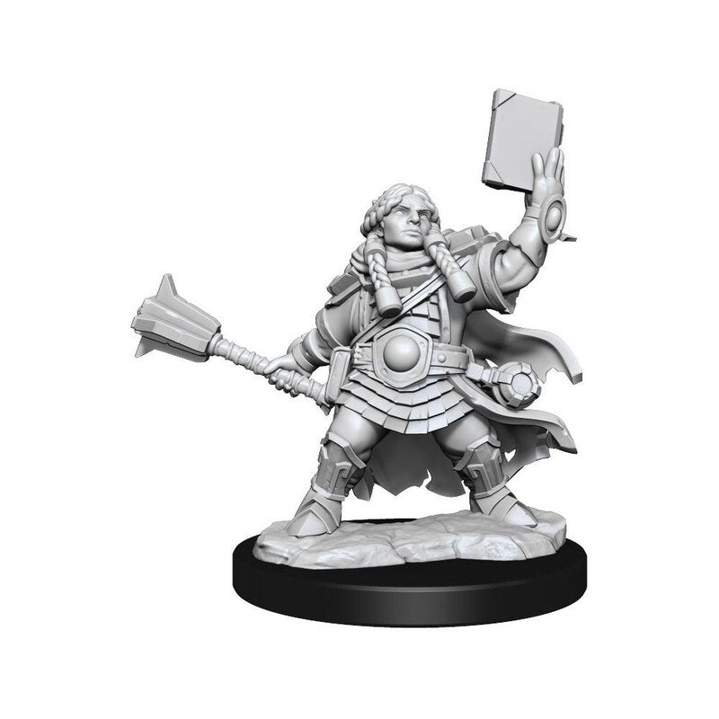 D&D Nolzur's Marvelous Miniatures: Dwarf Fighter Female – WizKids